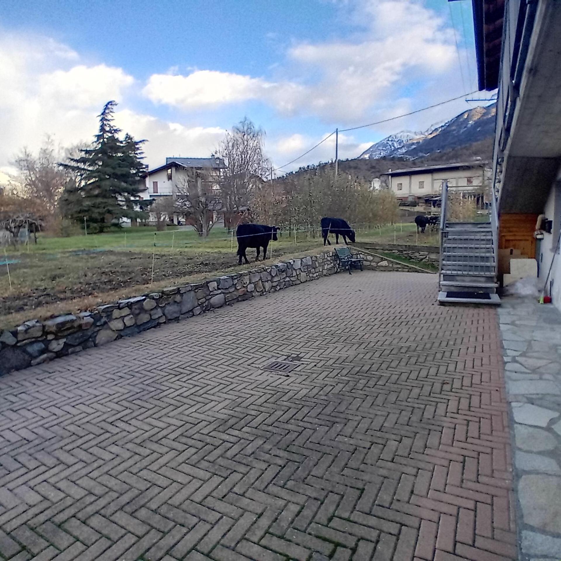 Maison Clair Vda Gressan N 0094 Aosta Pokoj fotografie
